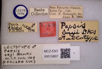 Media type: image;   Entomology 15807 Aspect: labels